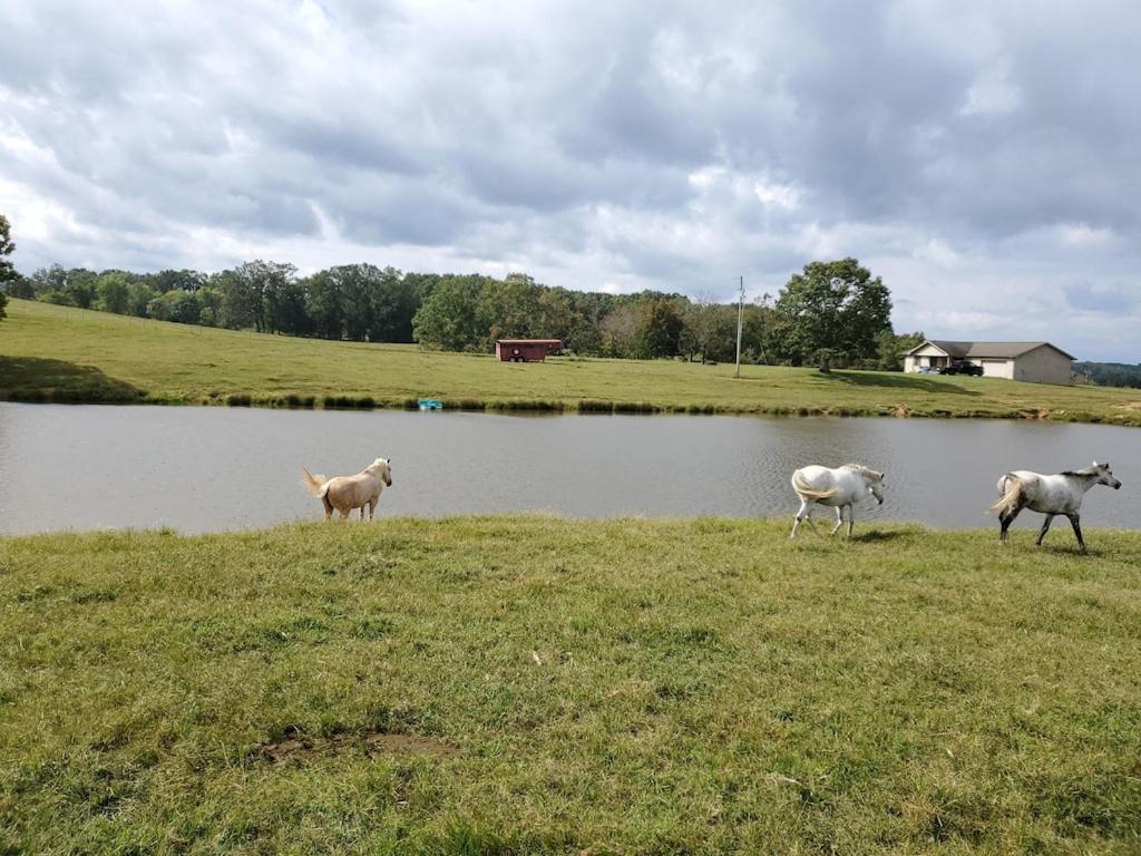 Secluded House On 60 Acres Close To Fall Creek Falls Pikeville Εξωτερικό φωτογραφία